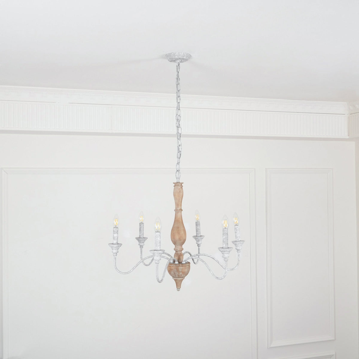 Eurloryra candelabru