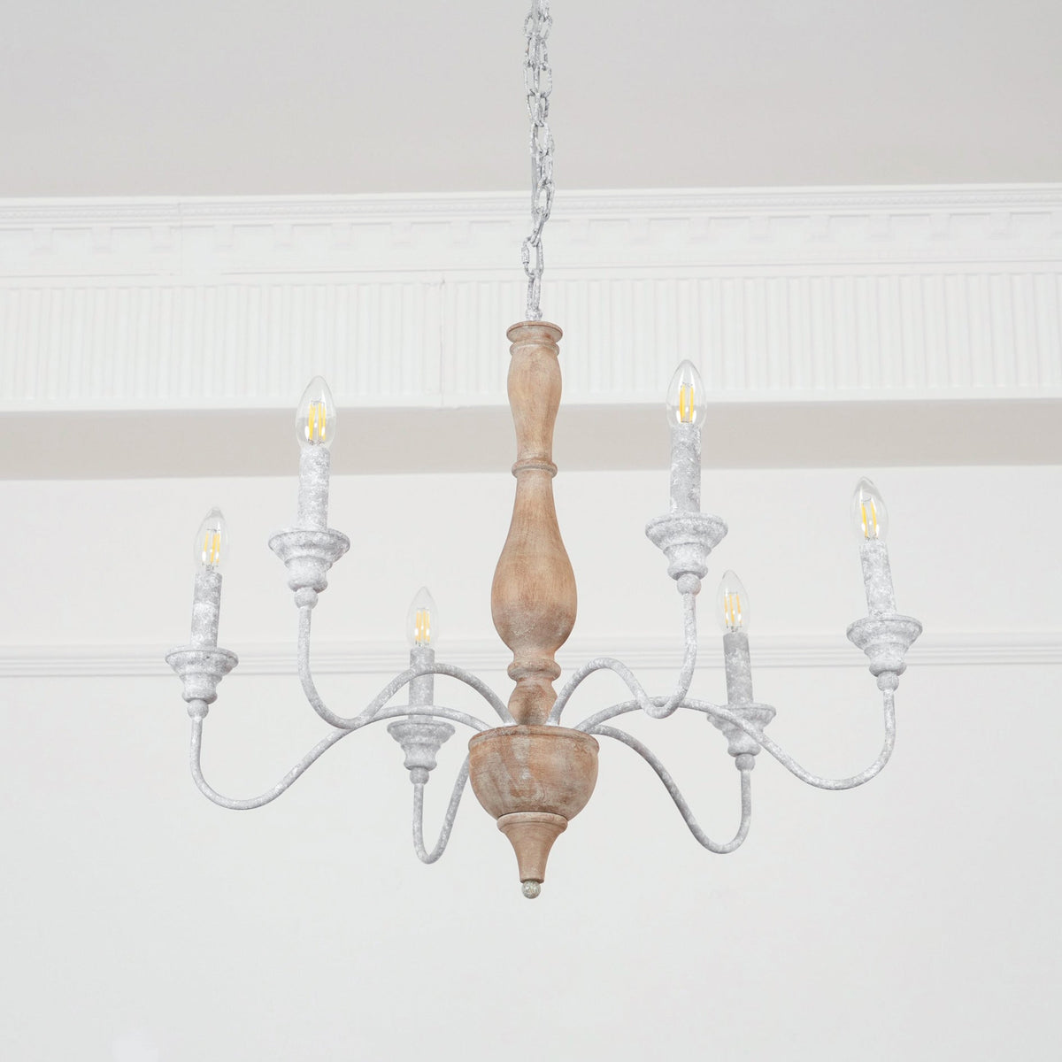 Eurloryra candelabru