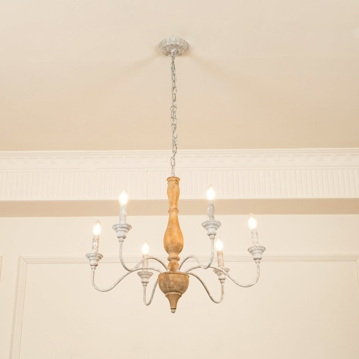 Eurloryra candelabru