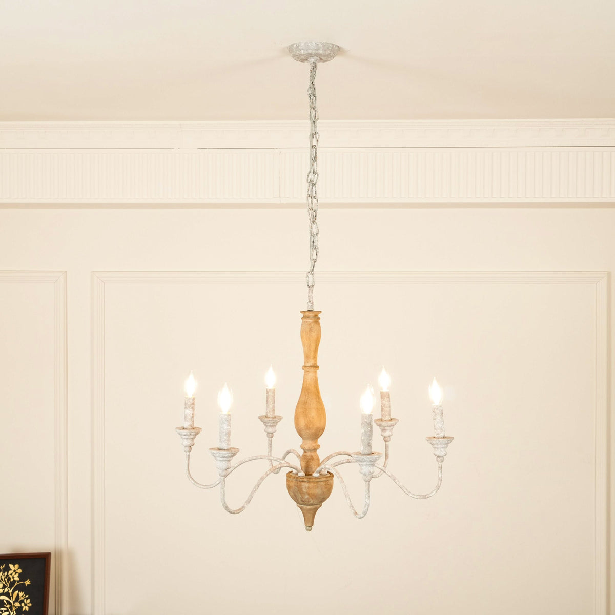 Eurloryra candelabru