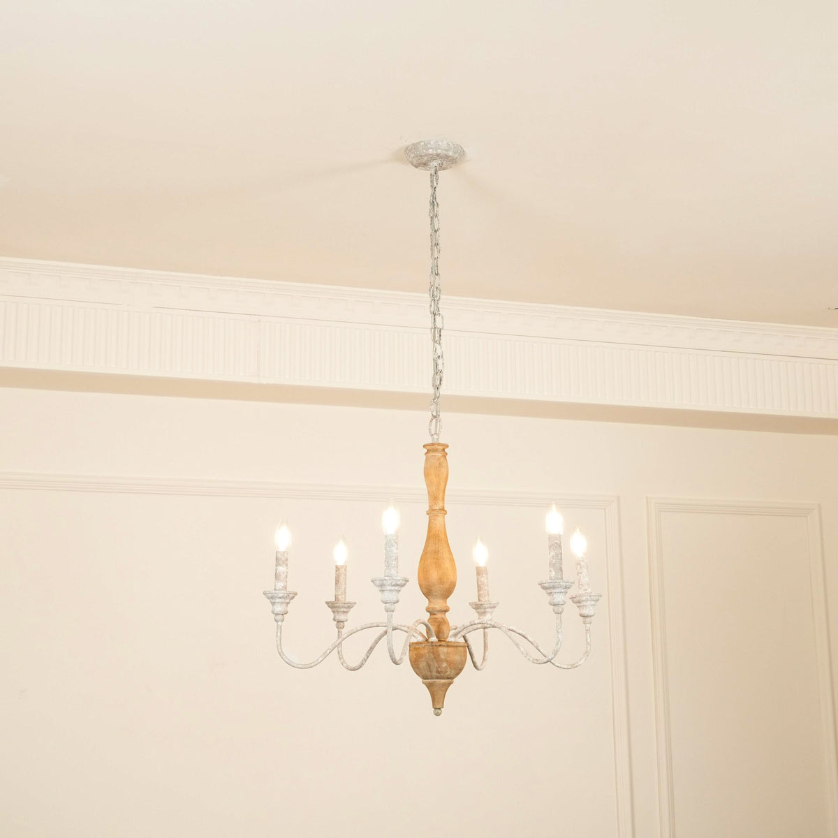 Eurloryra candelabru