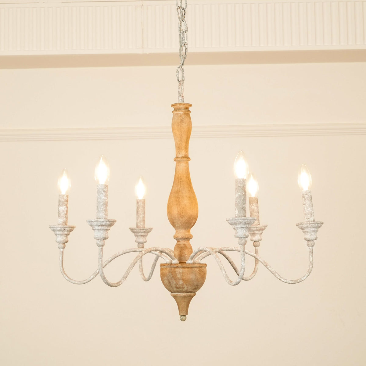 Eurloryra candelabru