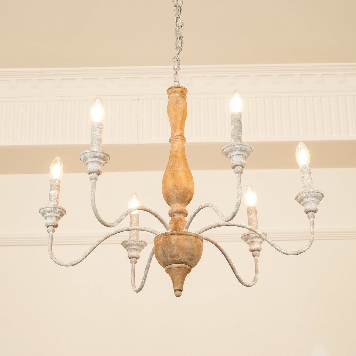 Eurloryra candelabru