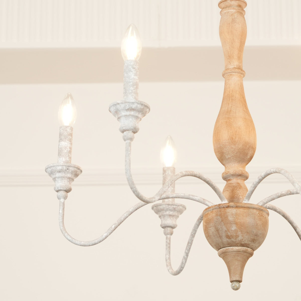 Eurloryra candelabru
