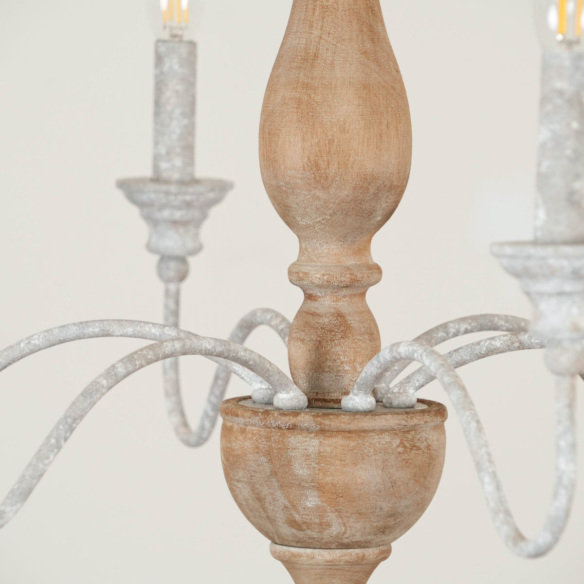 Eurloryra candelabru