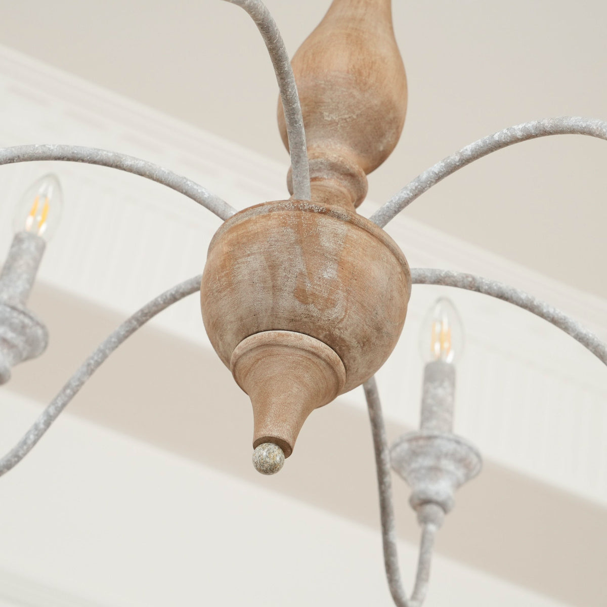 Eurloryra candelabru