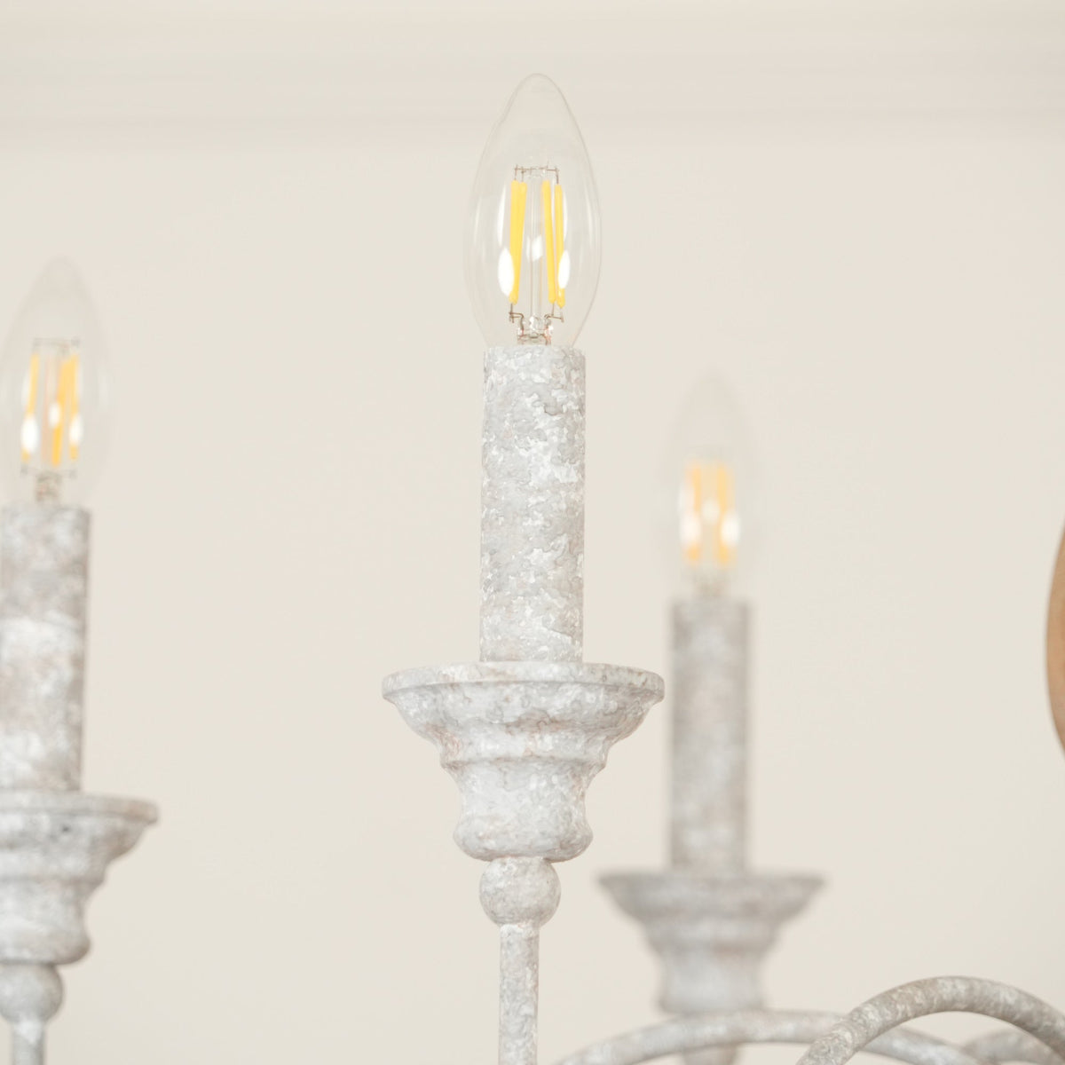 Eurloryra candelabru