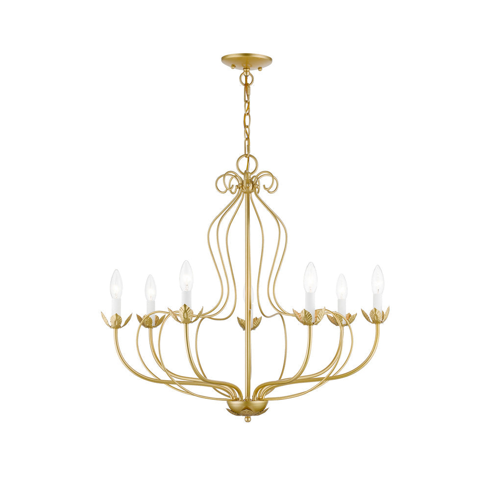 Seraphia candelabru