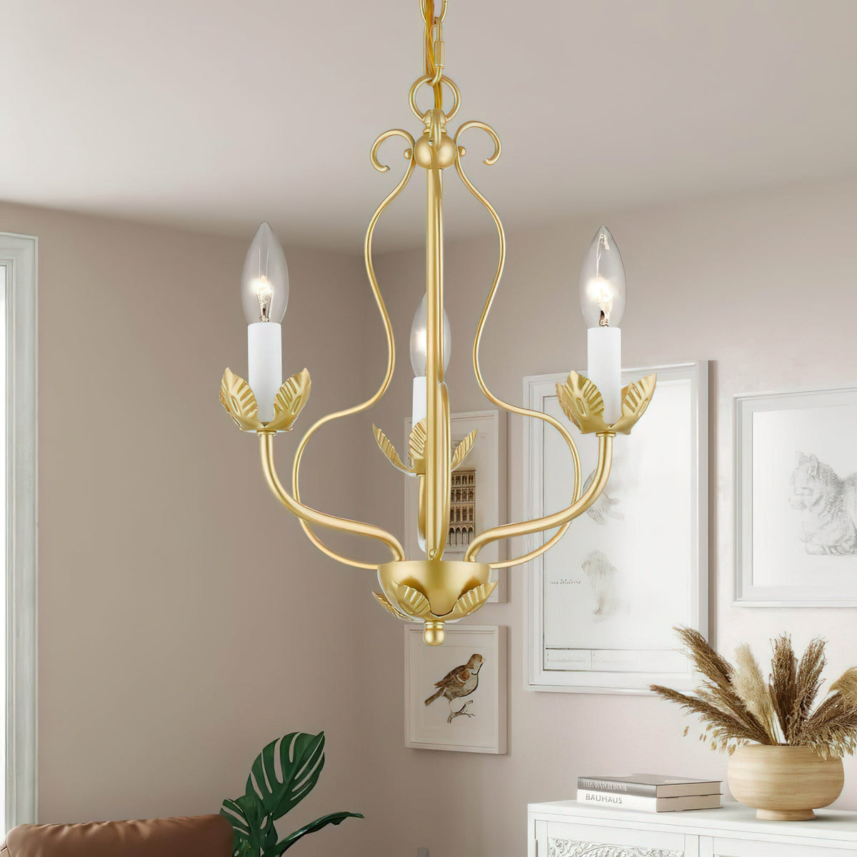 Seraphia candelabru