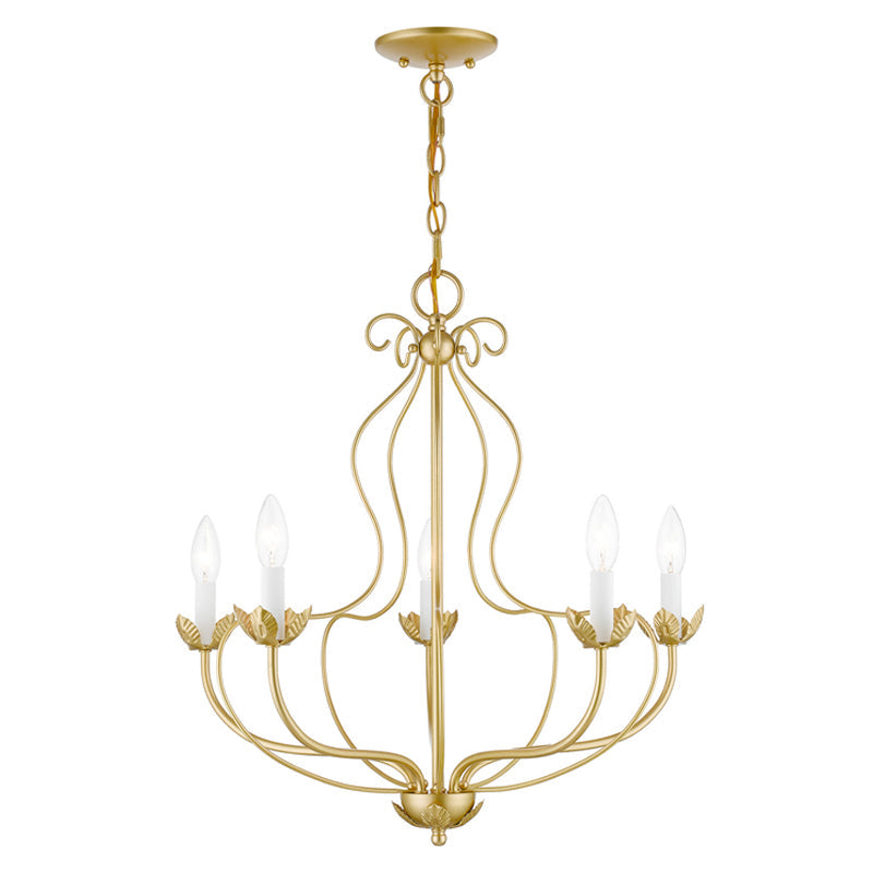 Seraphia candelabru