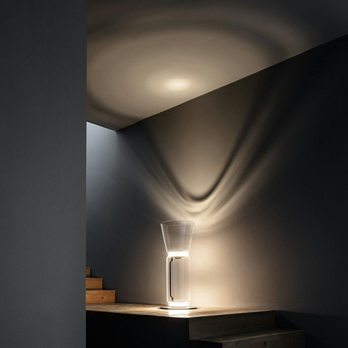 Elaeleria lampadar