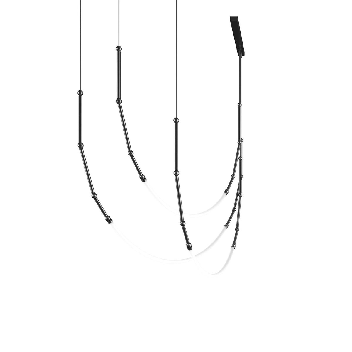 Teriinella candelabru