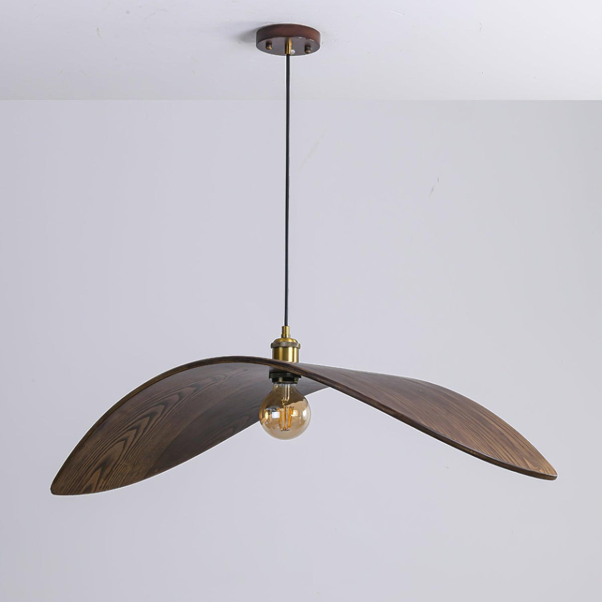 Caleia lampă suspendată