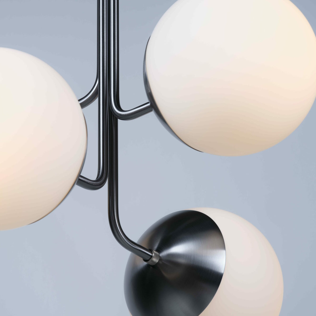Noroira candelabru