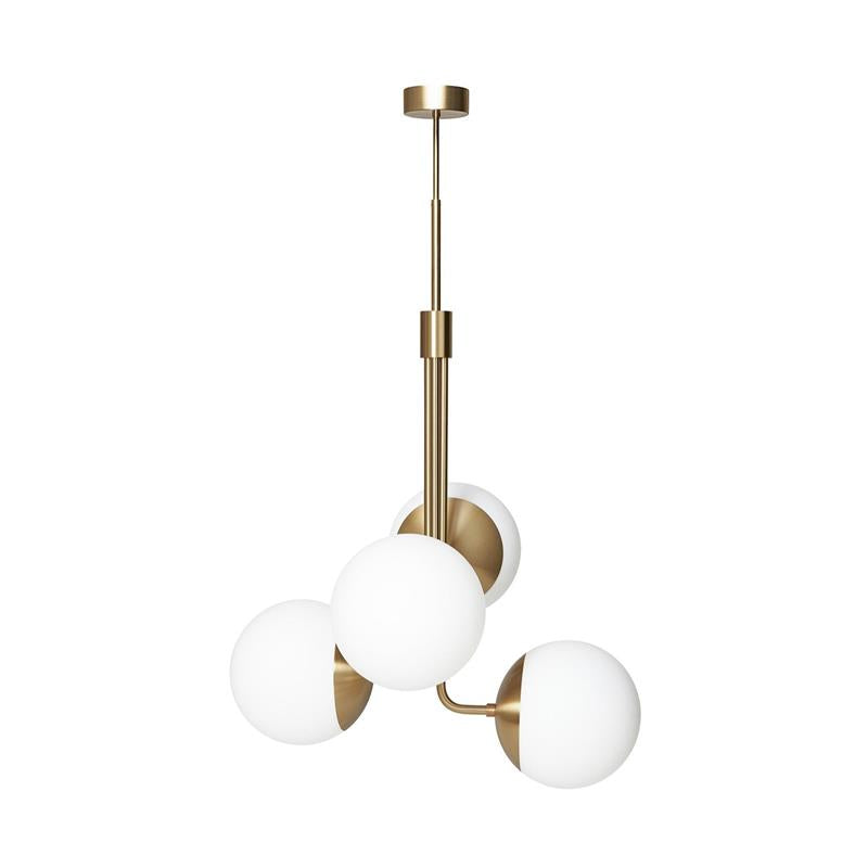 Noroira candelabru
