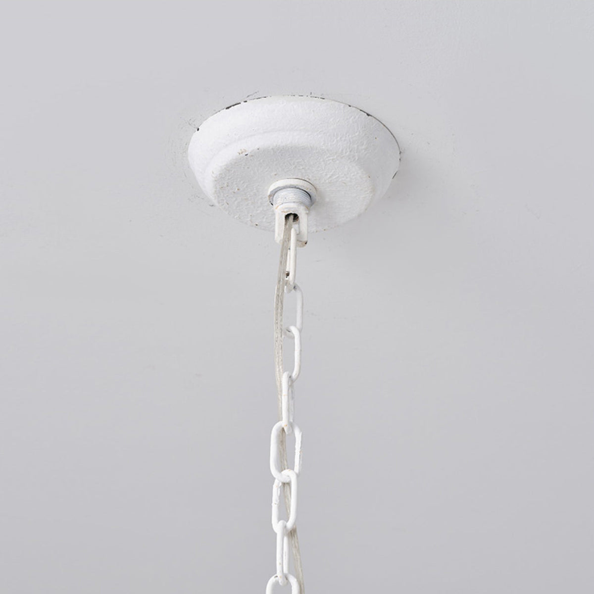 Elaelora candelabru