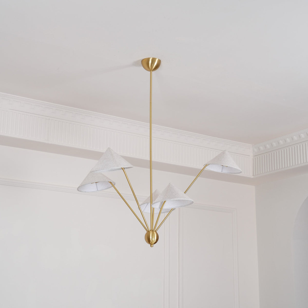 Elaorissa candelabru