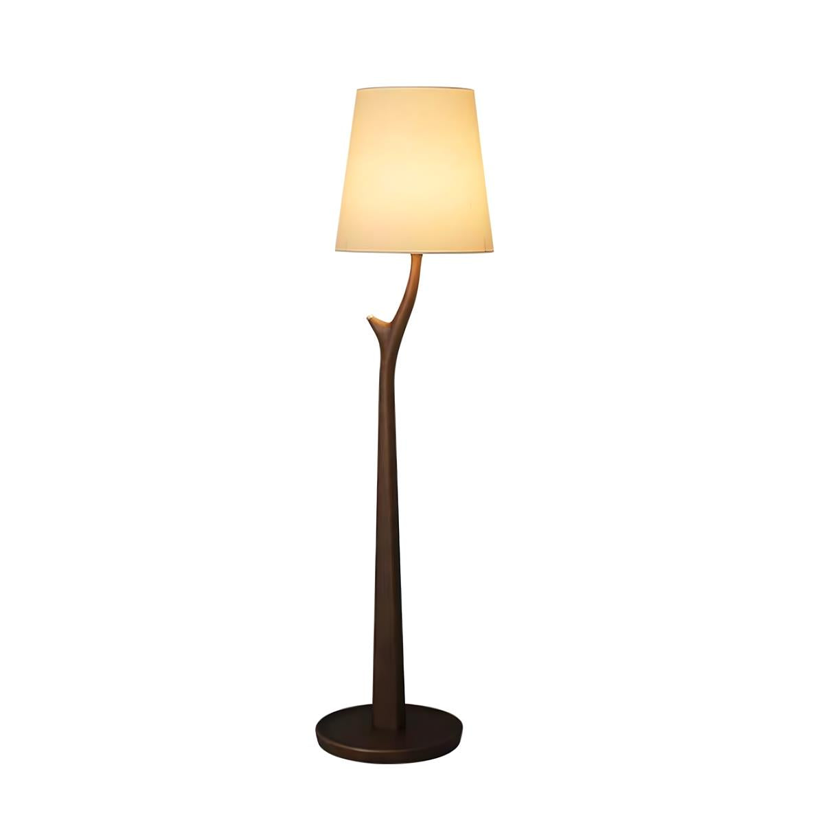 Norinia lampadar