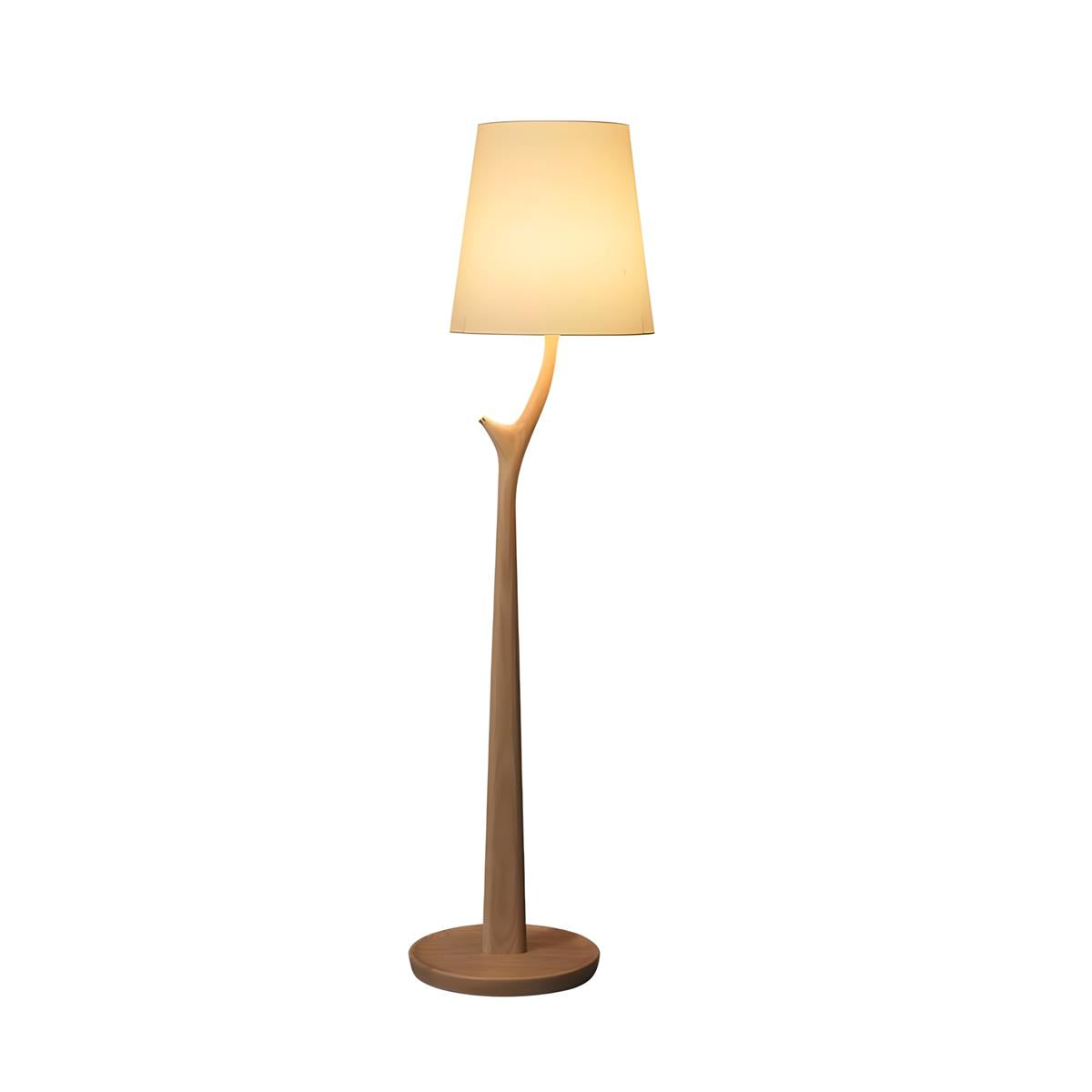 Norinia lampadar