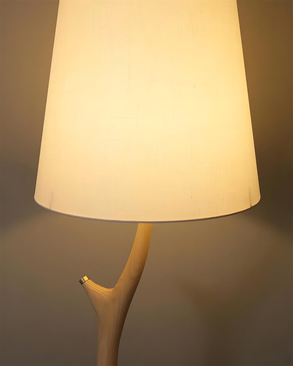 Norinia lampadar