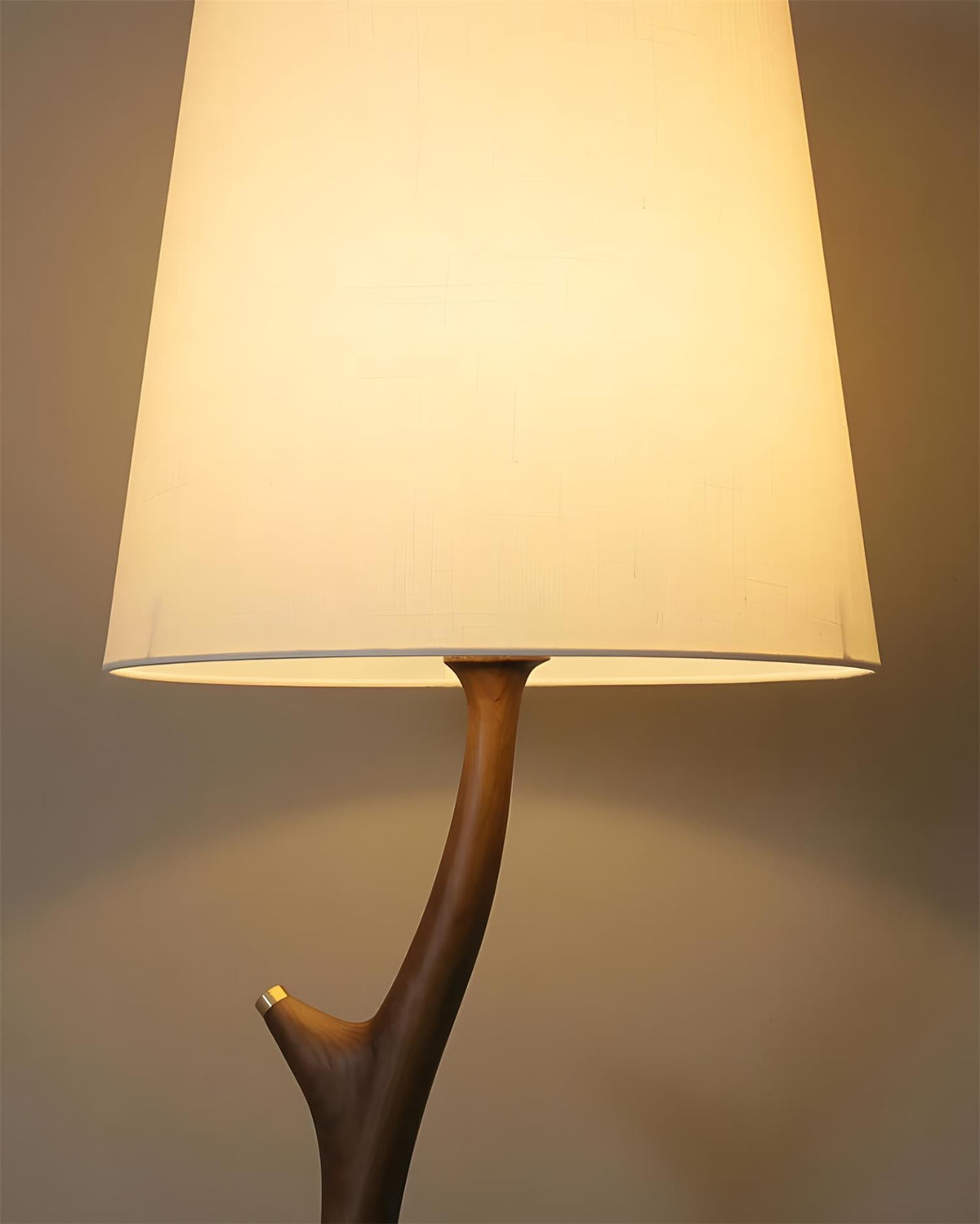 Norinia lampadar