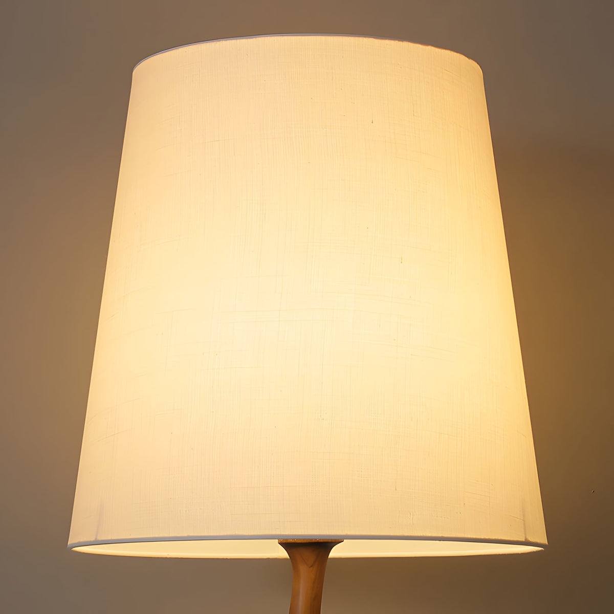 Norinia lampadar