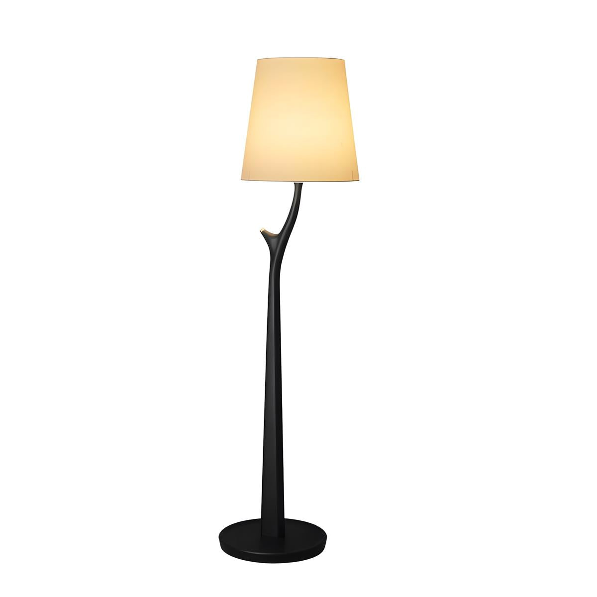 Norinia lampadar