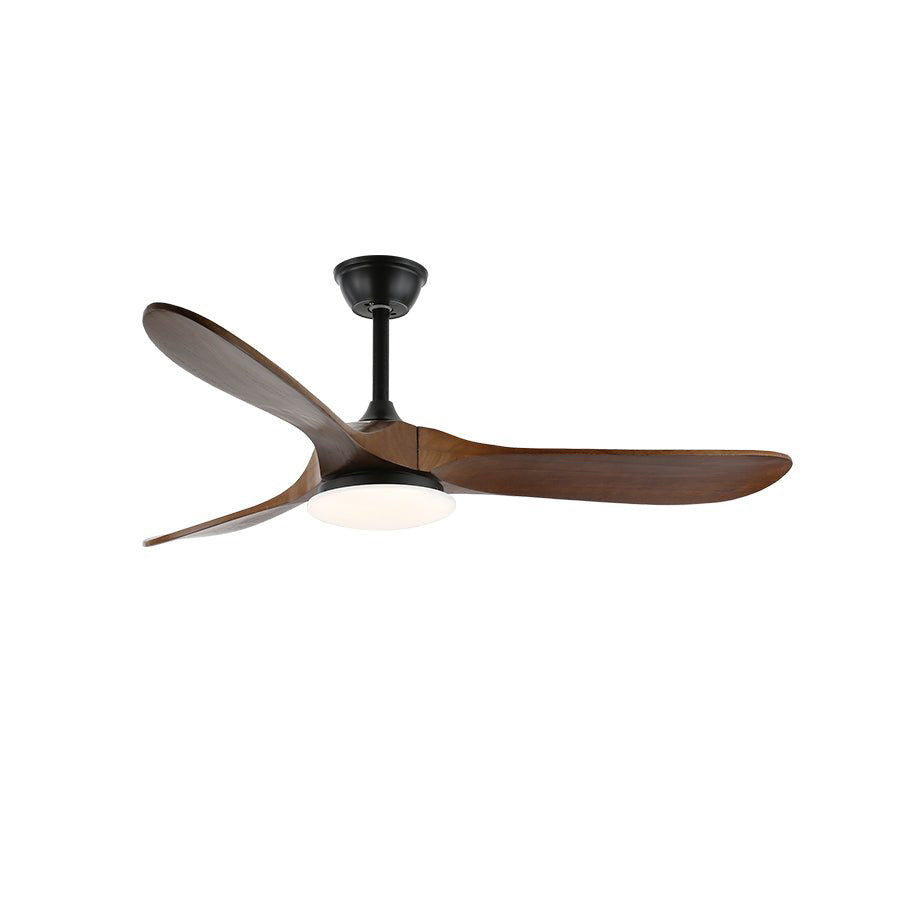 Liorueria ventilator de tavan cu lumină