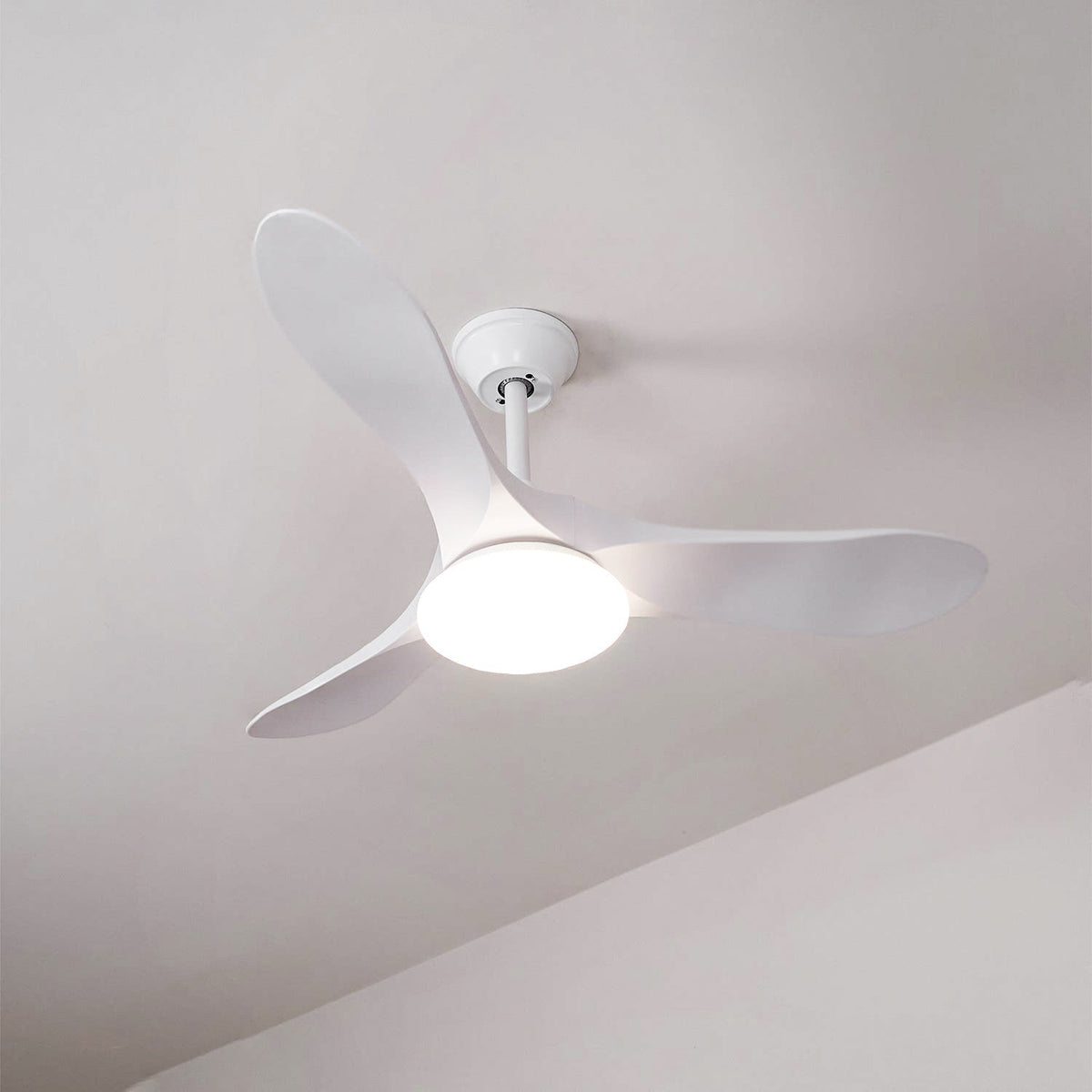 Liorueria ventilator de tavan cu lumină