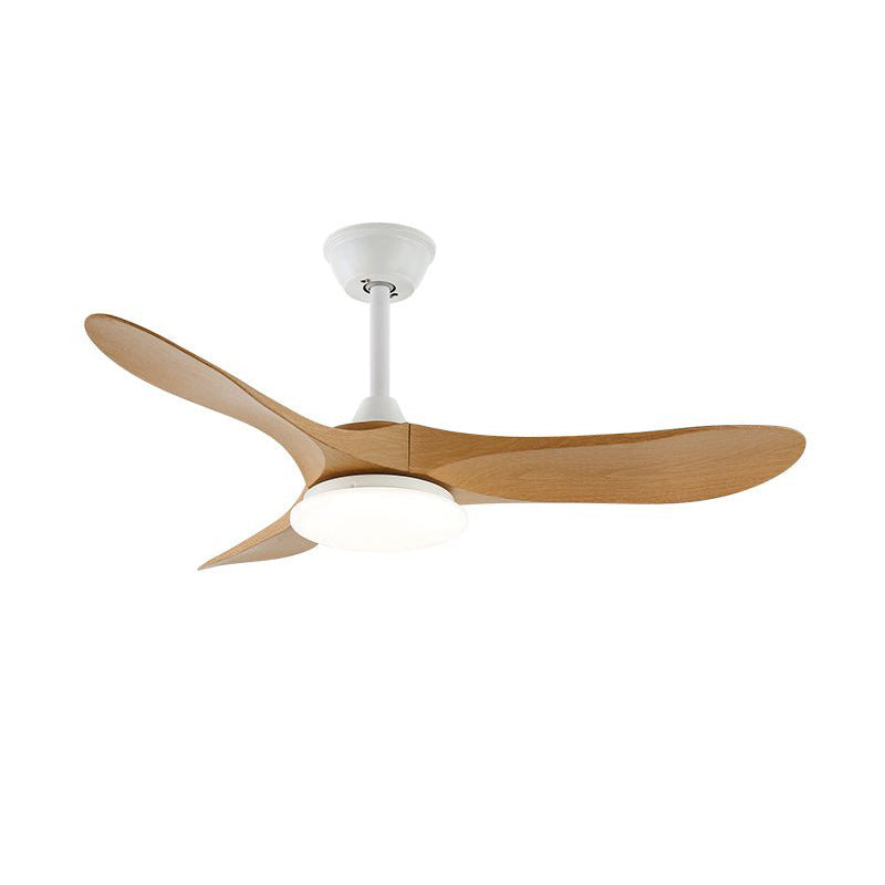 Liorueria ventilator de tavan cu lumină