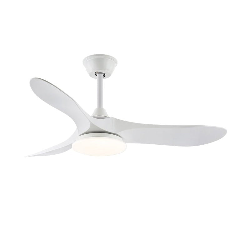 Liorueria ventilator de tavan cu lumină