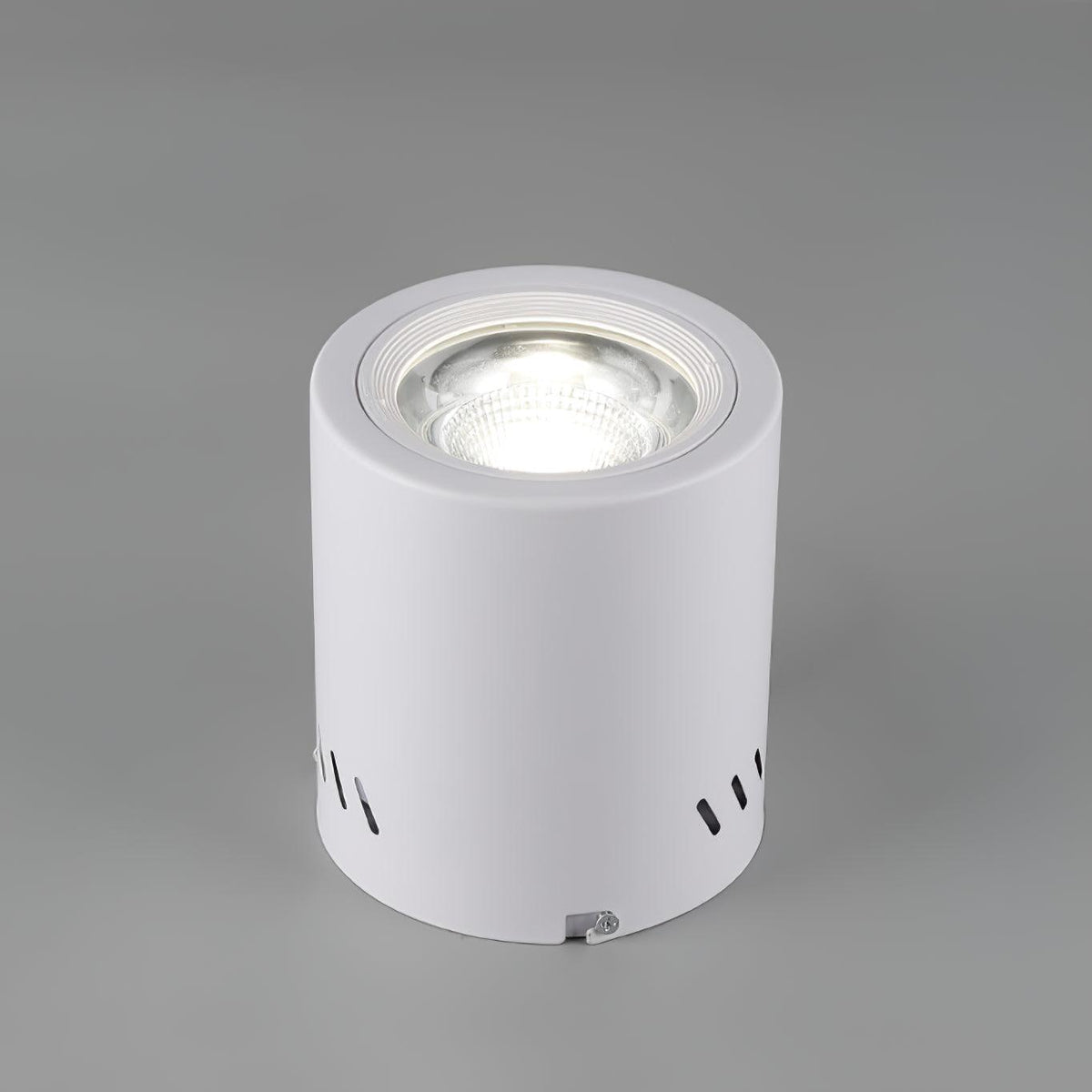 Orelisella Spotlight Maxi Rebel plafonieră Aplicată