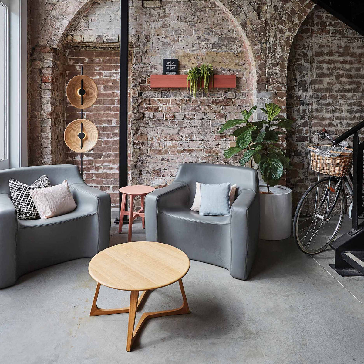 Ciraniella lampadar