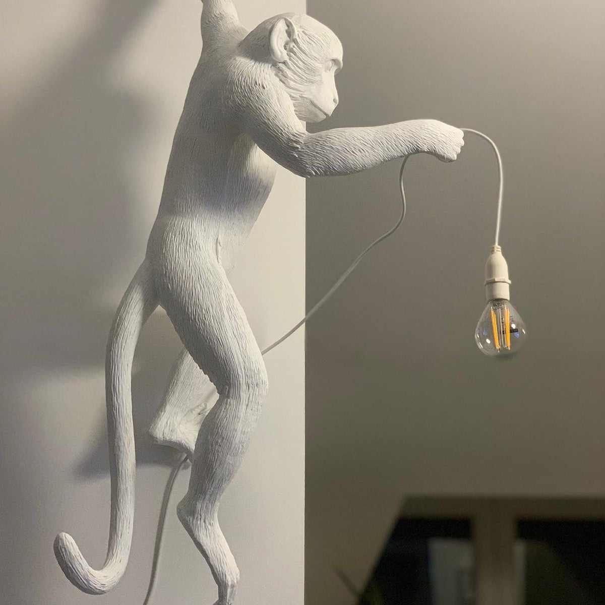 Bnx Art unic Monkey Rășină aplică de Perete