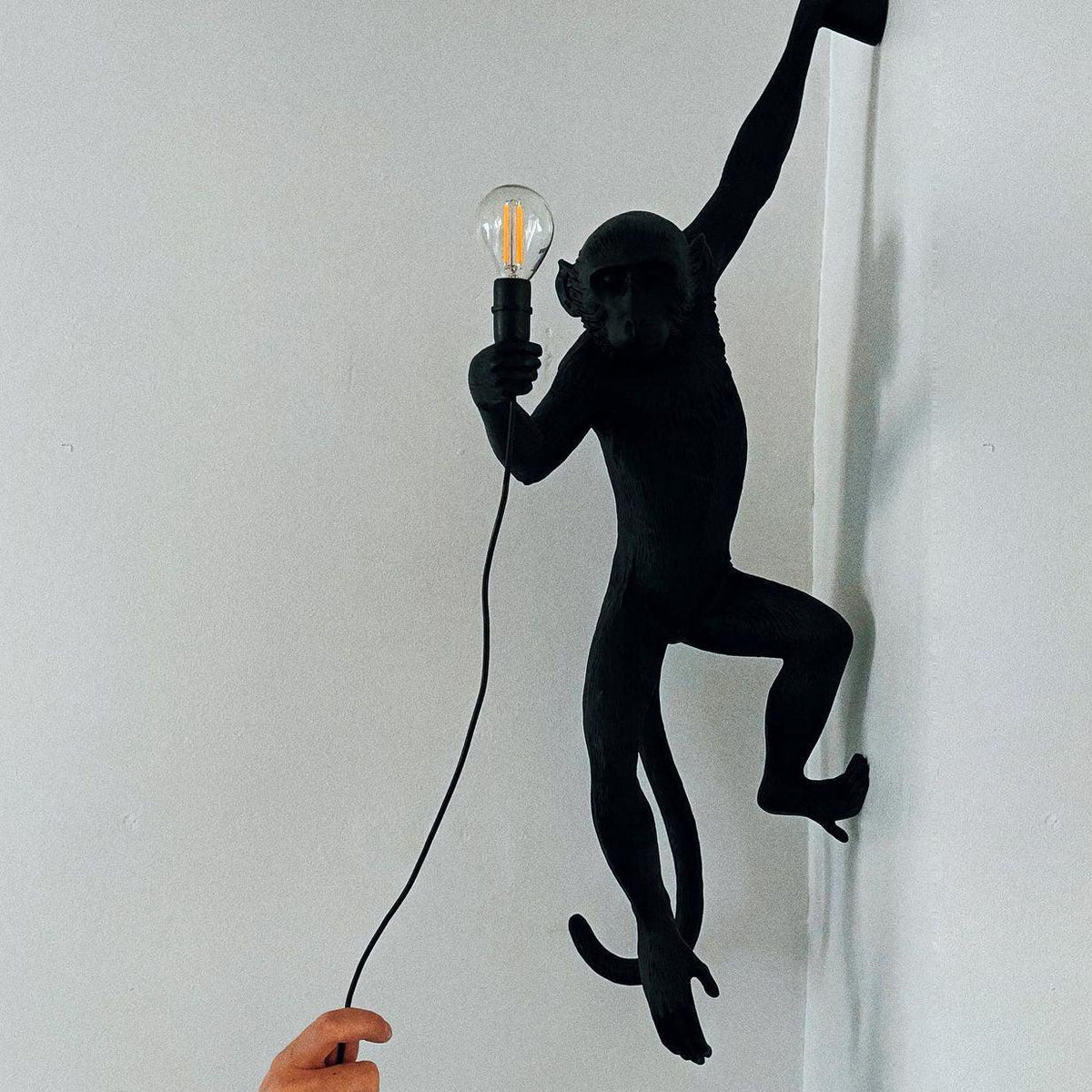 Bnx Art unic Monkey Rășină aplică de Perete