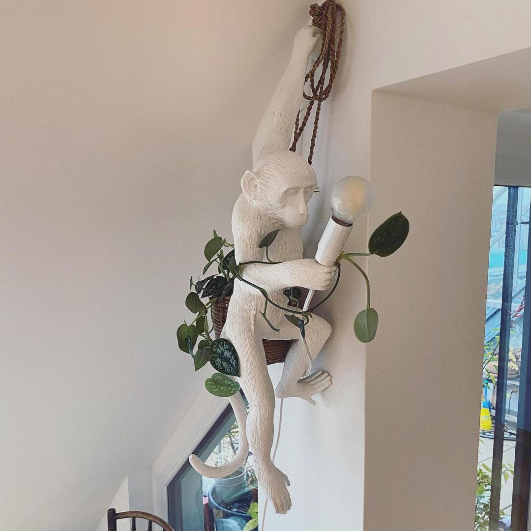 Bnx Art unic Monkey Rășină aplică de Perete