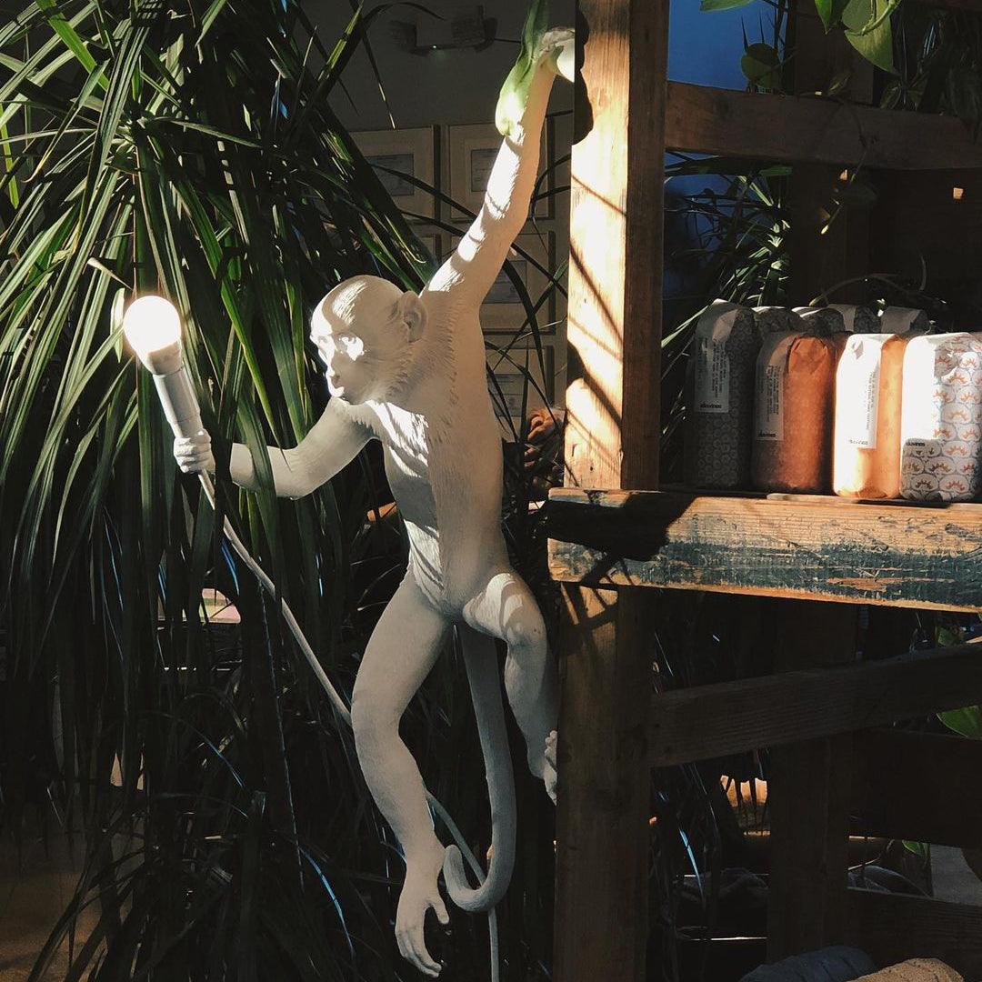Bnx Art unic Monkey Rășină aplică de Perete