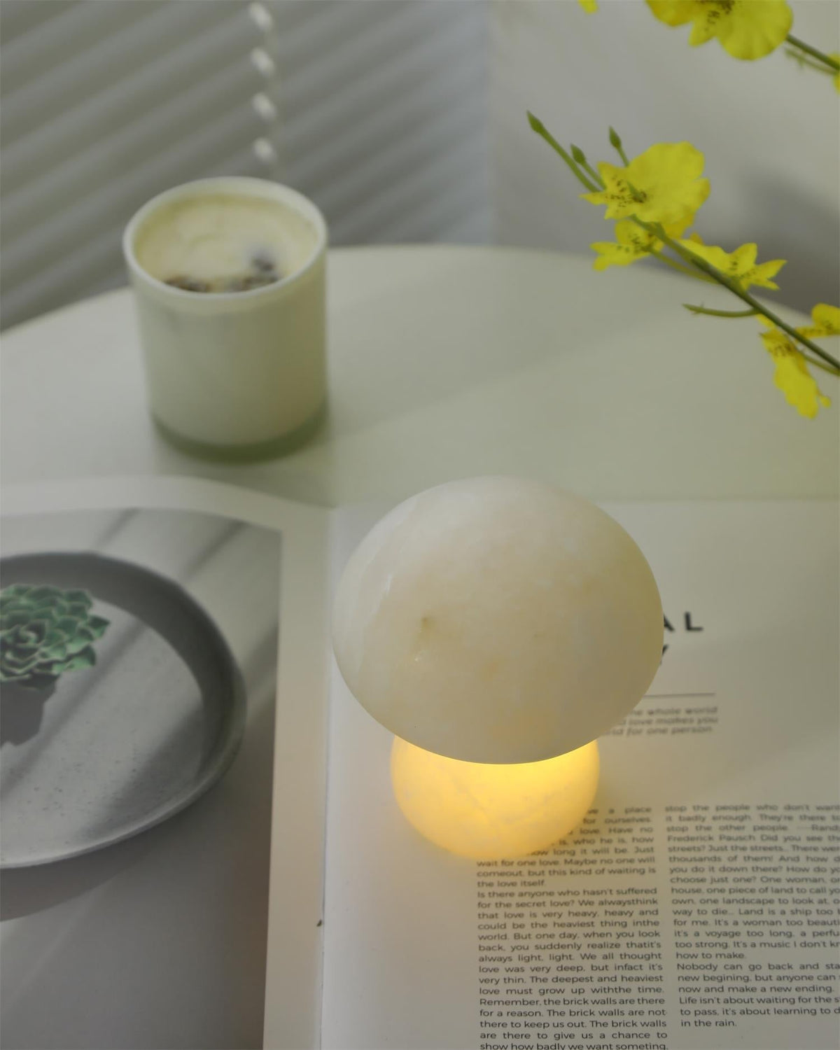 Fungi lampă de masă (baterie încorporată)