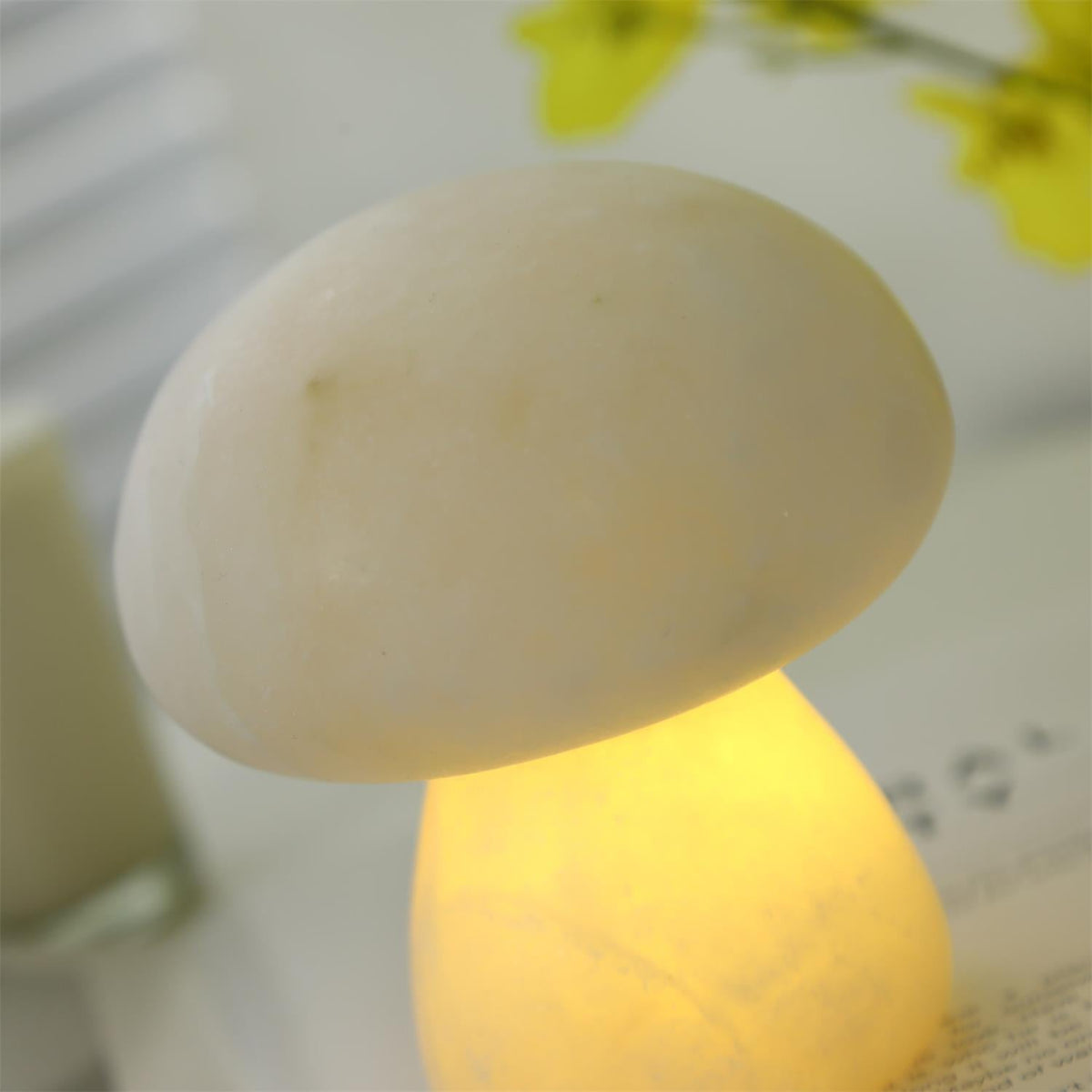 Fungi lampă de masă (baterie încorporată)