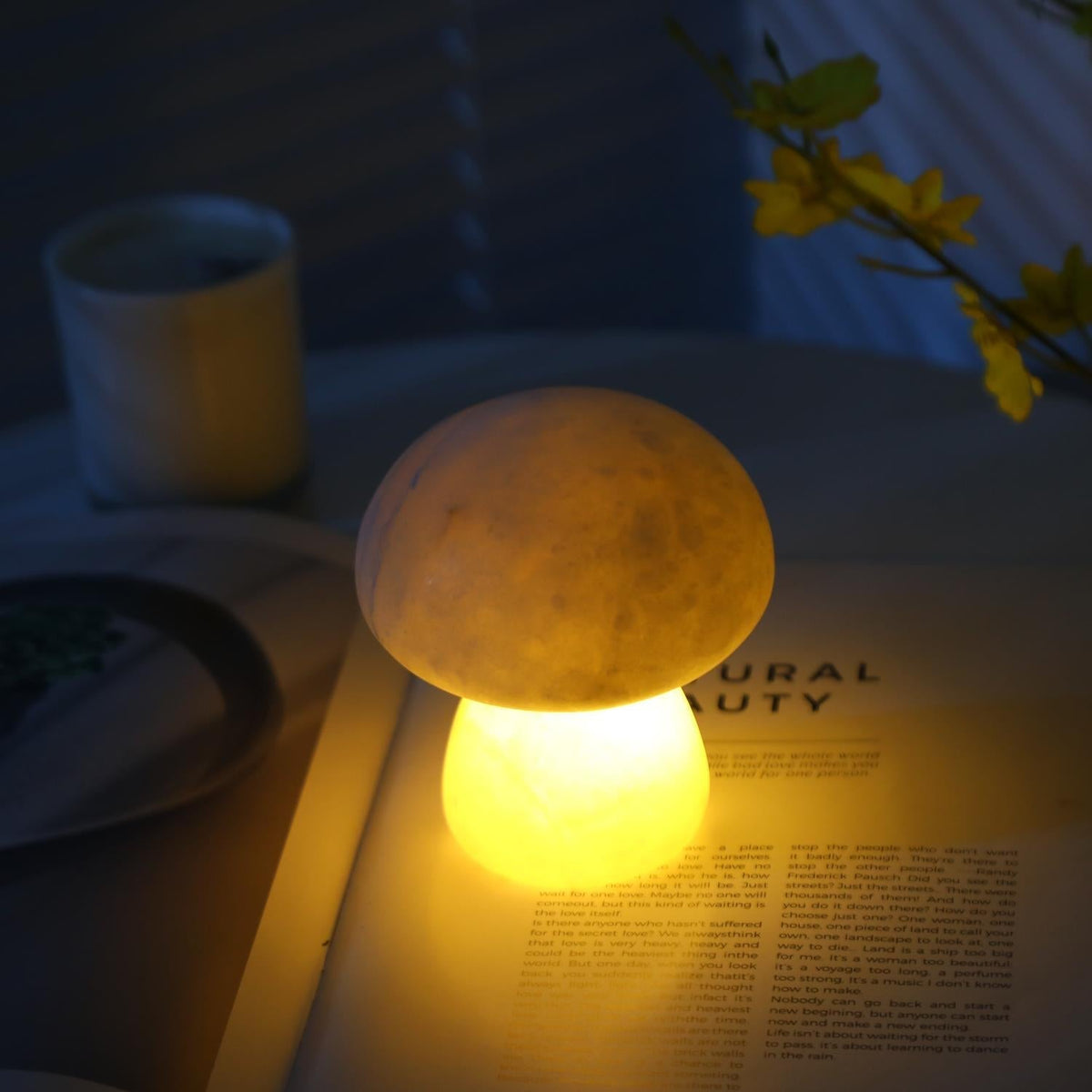 Fungi lampă de masă (baterie încorporată)