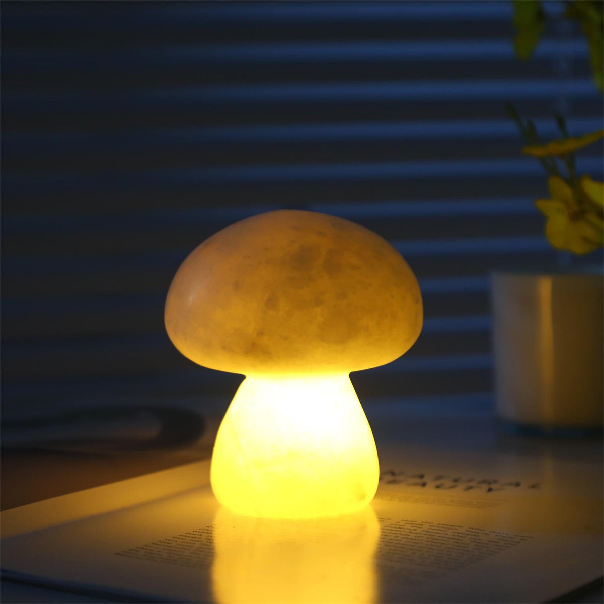 Fungi lampă de masă (baterie încorporată)