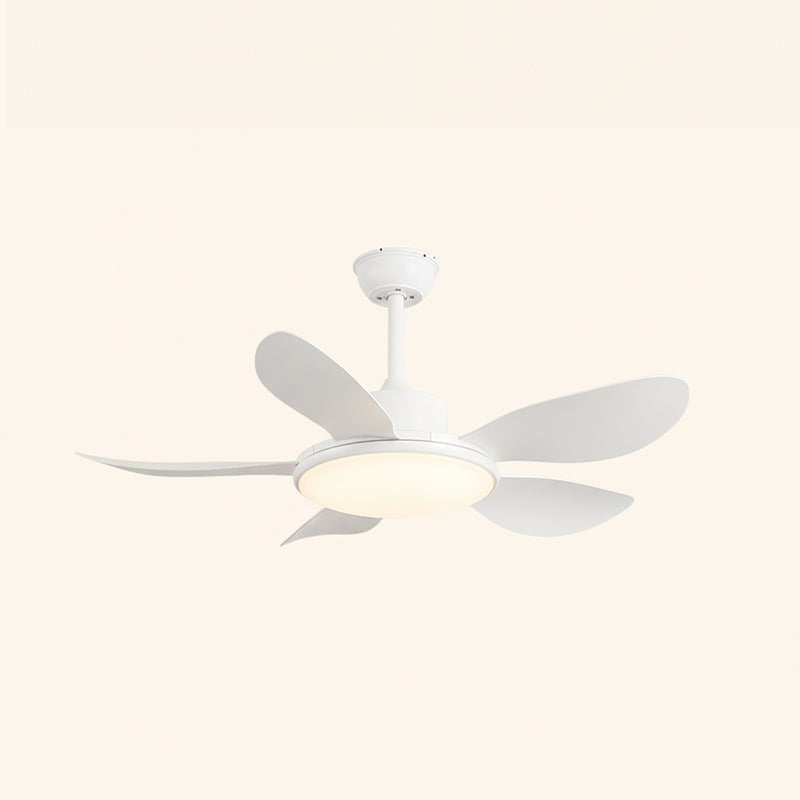 Rivivaine ventilator de tavan cu lumină