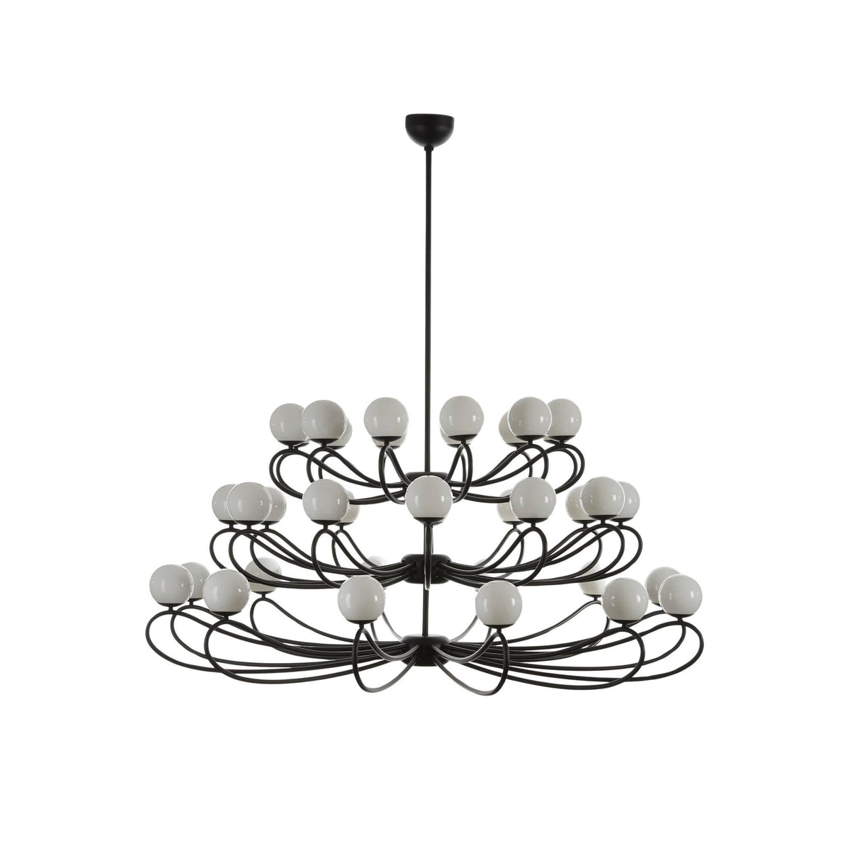 Calanena candelabru