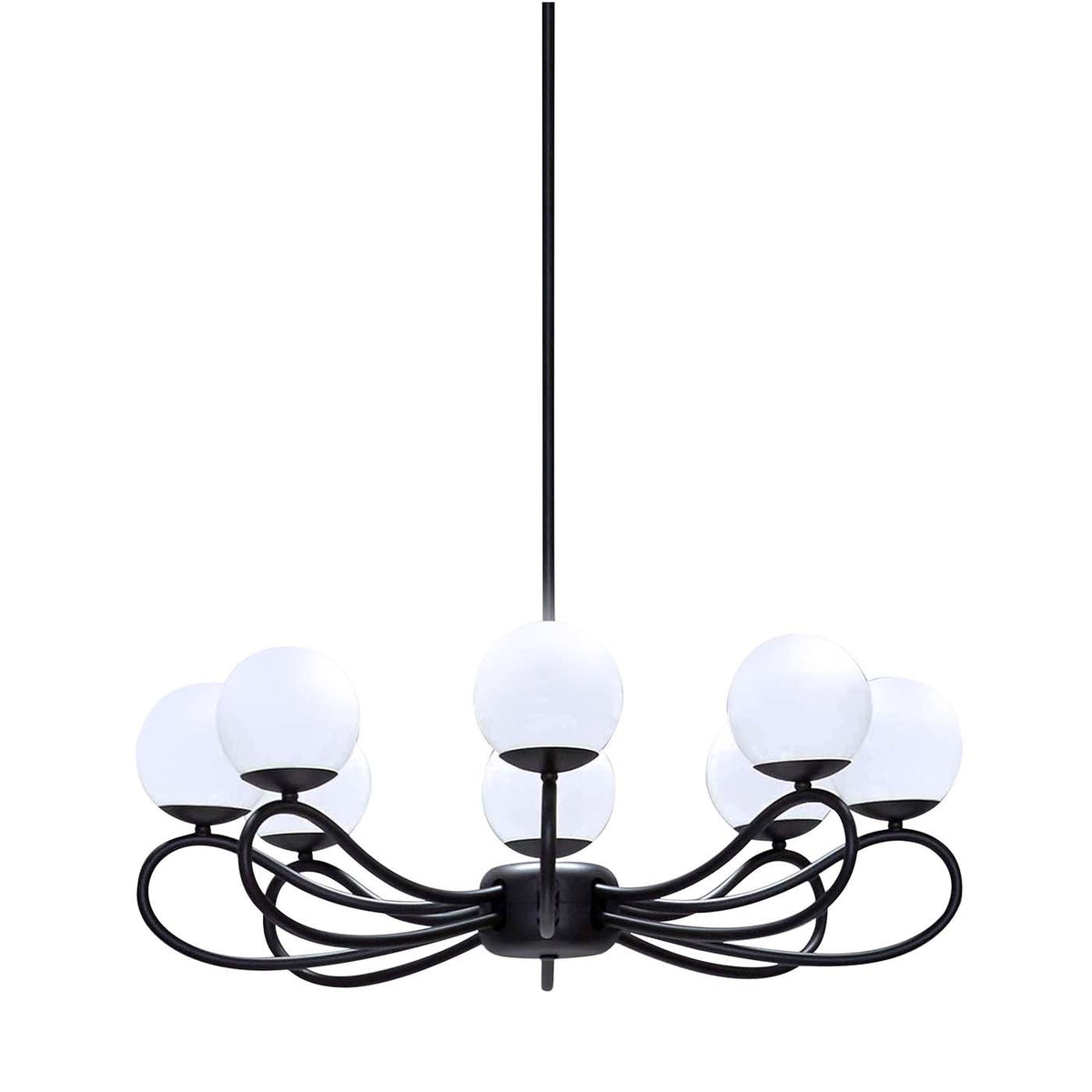 Calanena candelabru