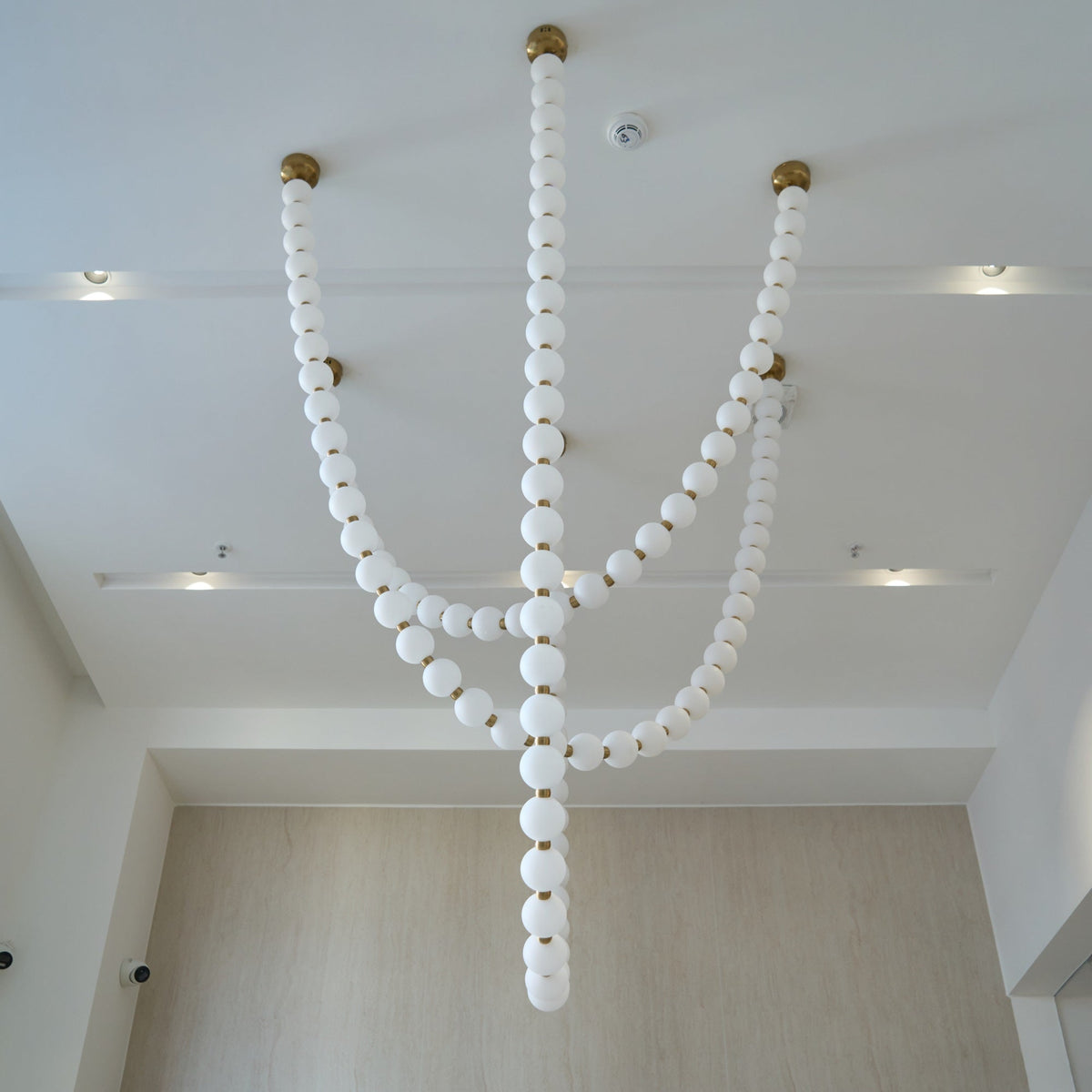 Liorenena candelabru
