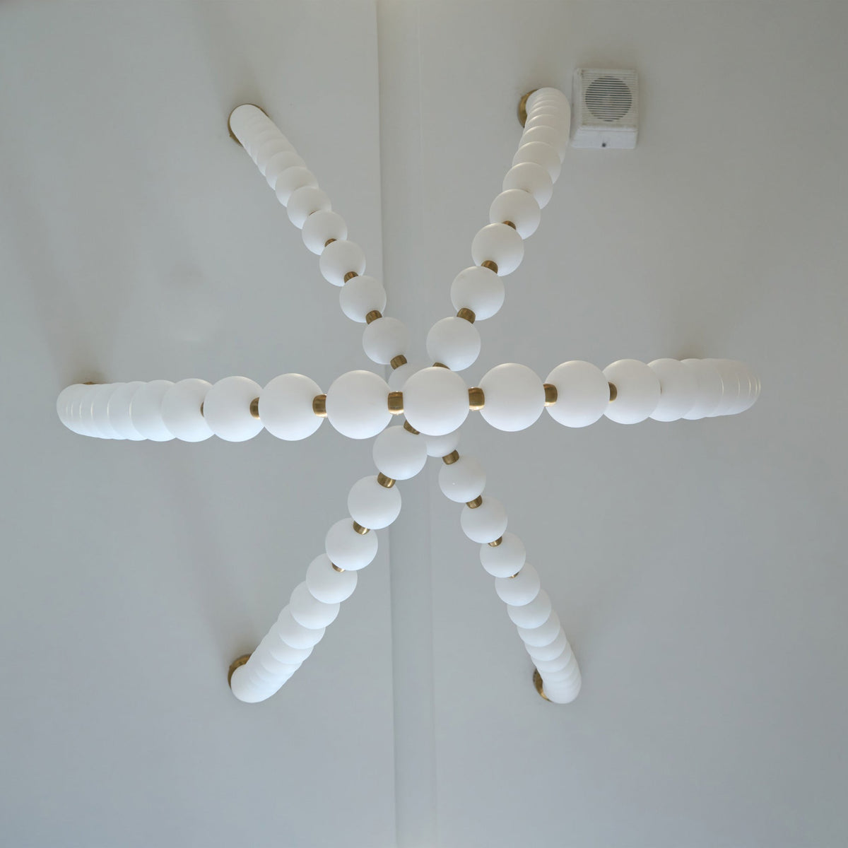 Liorenena candelabru
