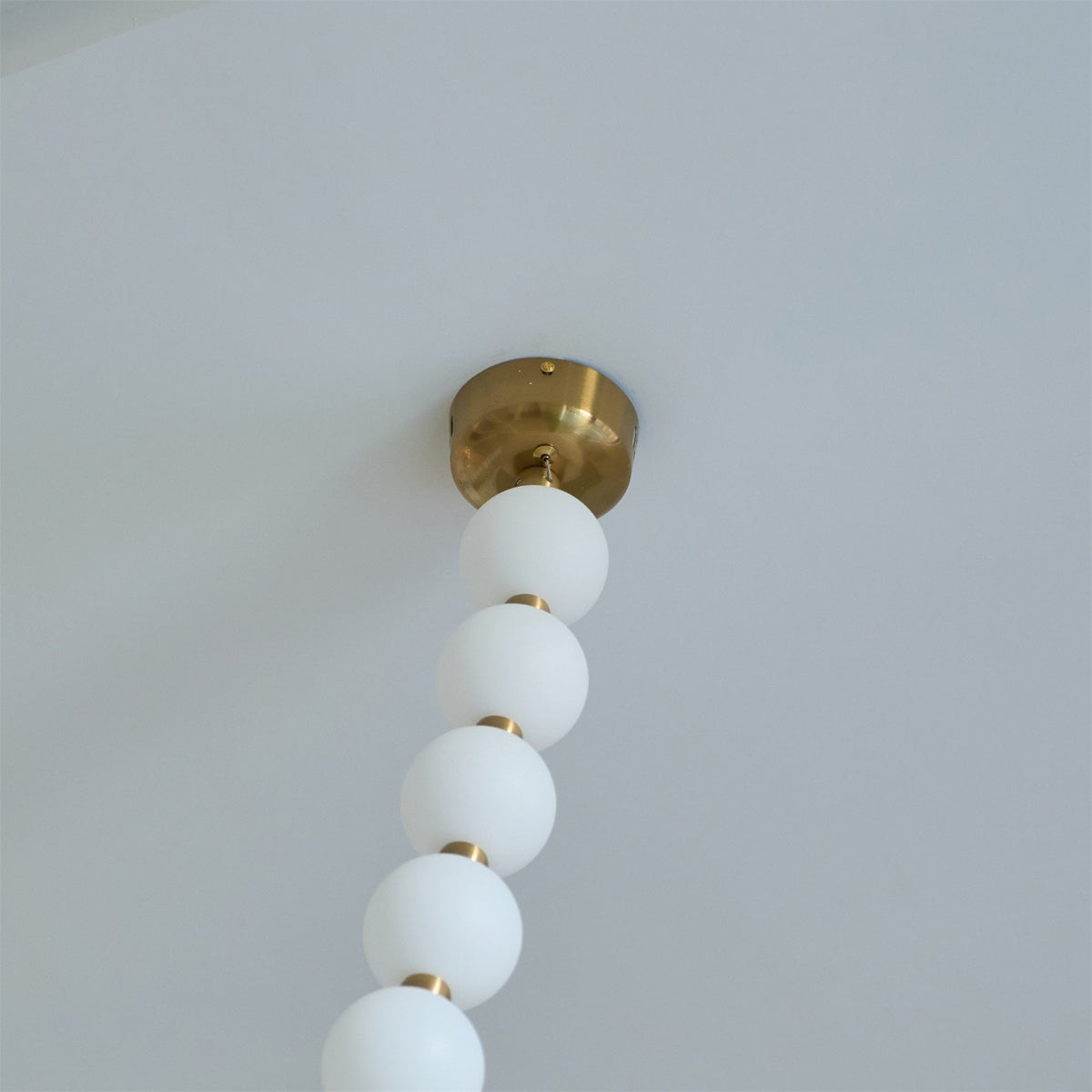 Liorenena candelabru