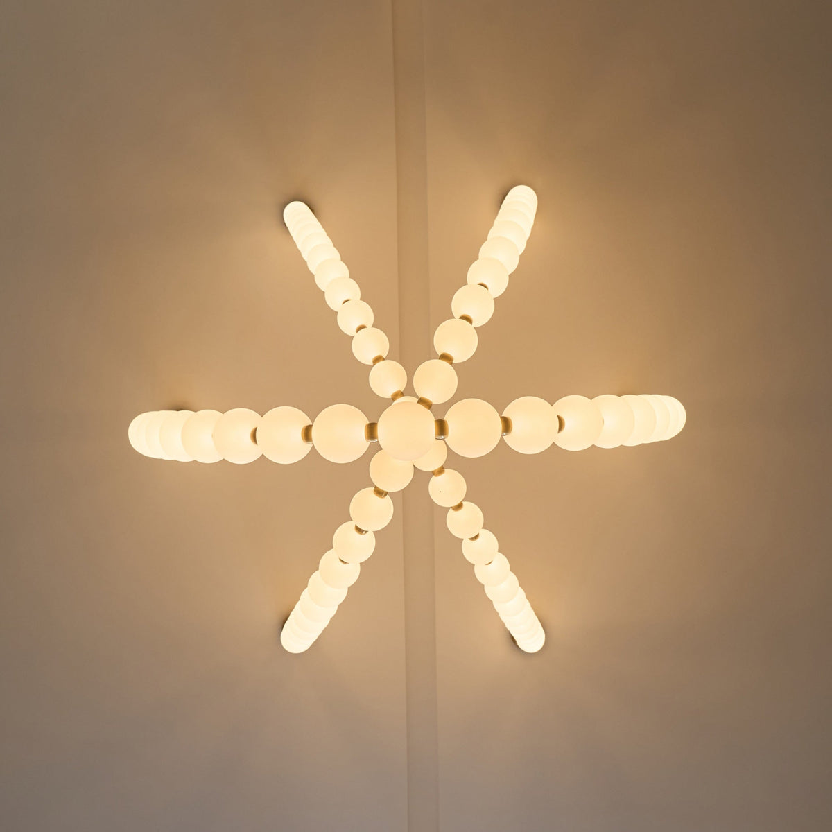 Liorenena candelabru