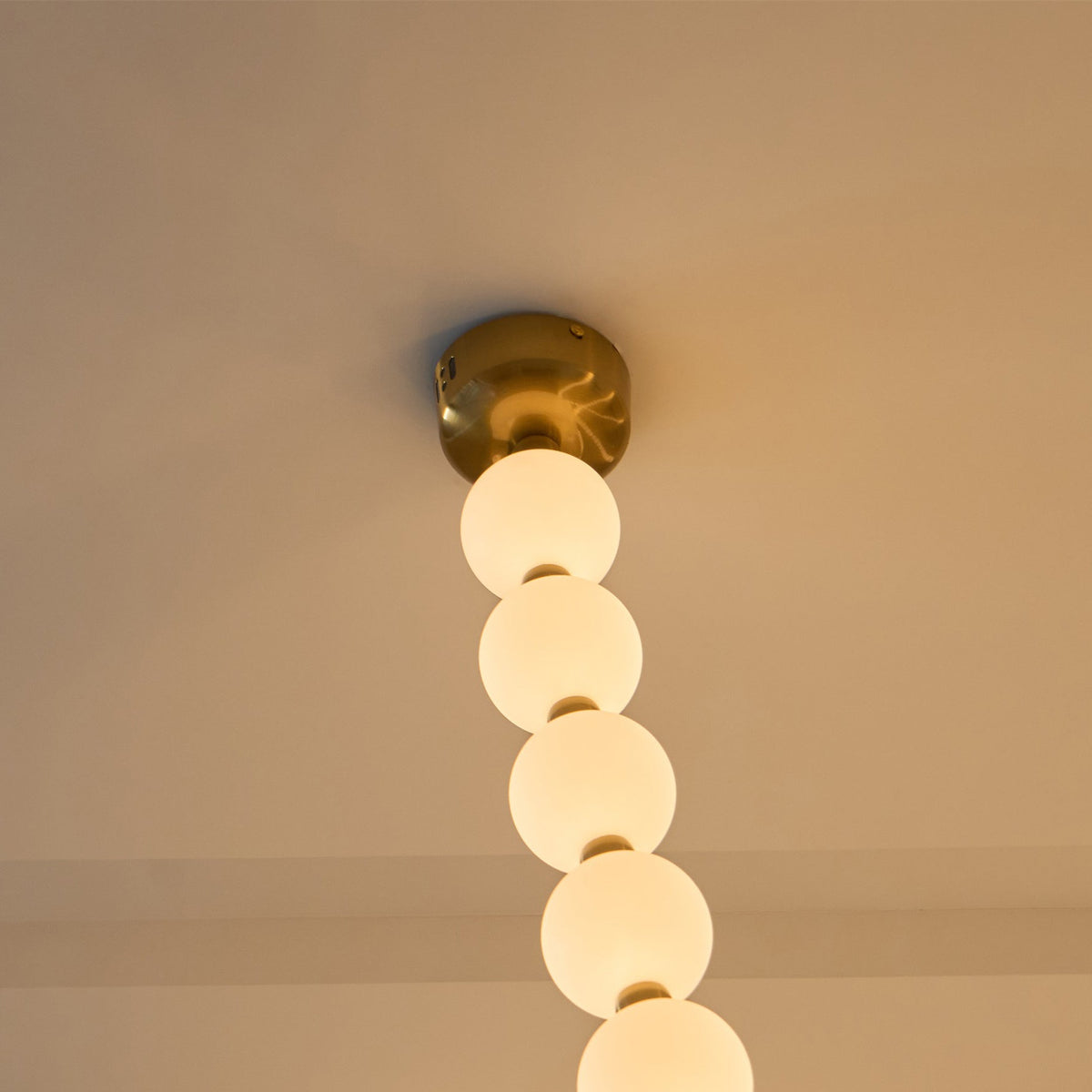 Liorenena candelabru