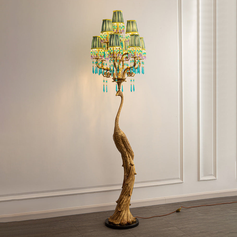 Pavona lampadar